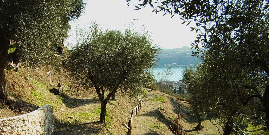 Agroturismo Bissiniga *